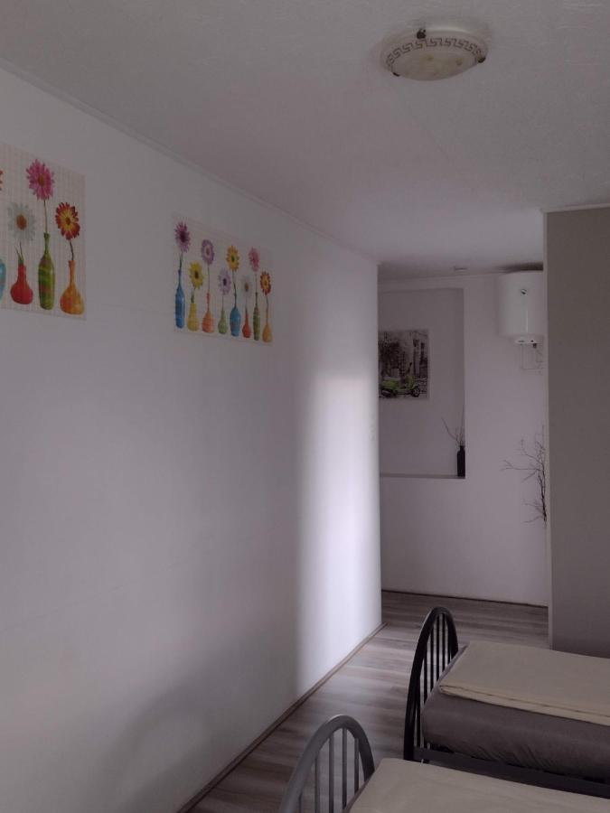 Pension Novy Den Albrechtice  Dış mekan fotoğraf